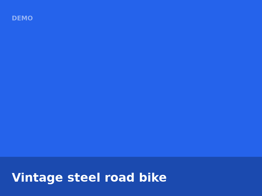 Vintage steel road bike