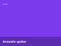 Acoustic guitar